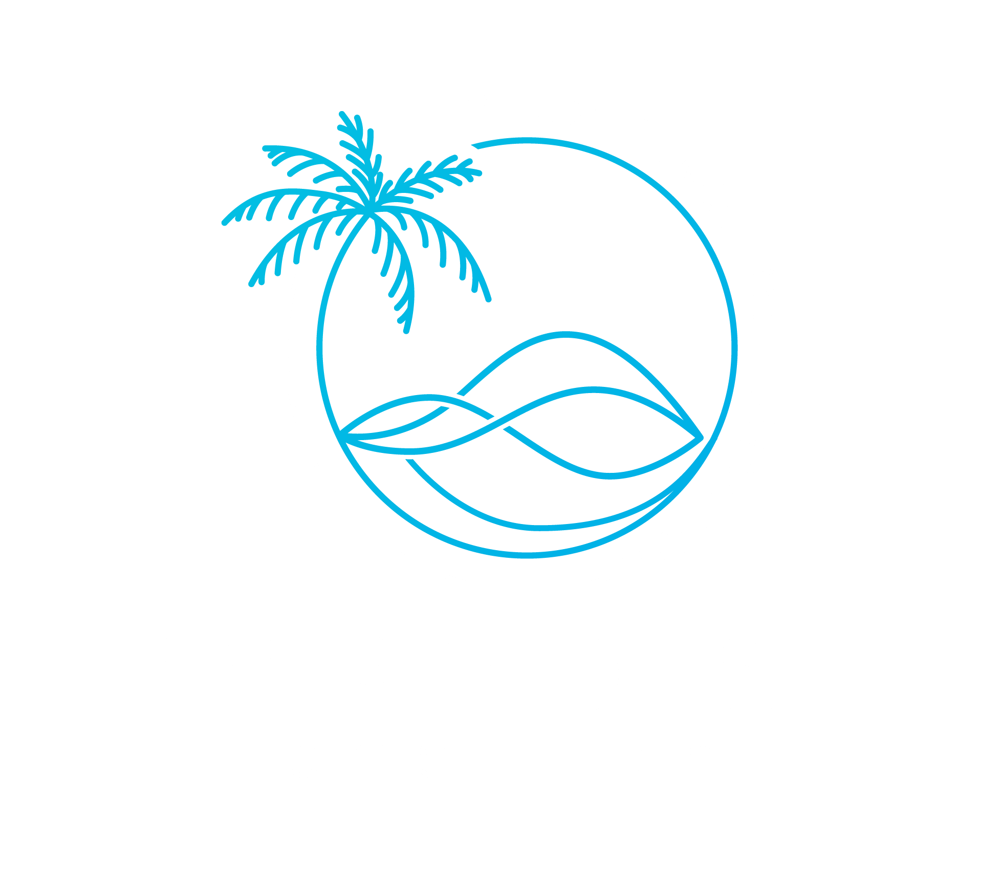 Paradise Systems